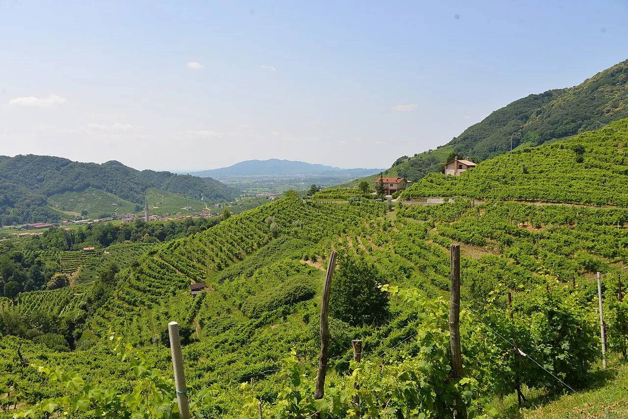 Colline del Prosecco di Valdobbiadene in Veneto, regione servita da Digitaflix per la Local SEO